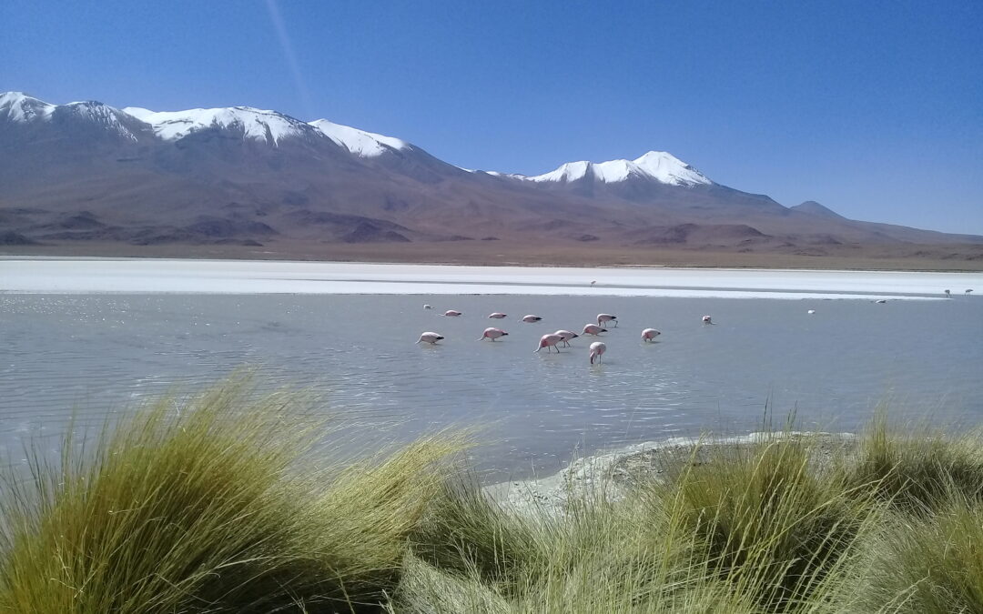 POTOSÍ – SUCRE – TARIJA AND DAWN IN COLORED LAGOONS 7 DAYS / 6 NIGHTS