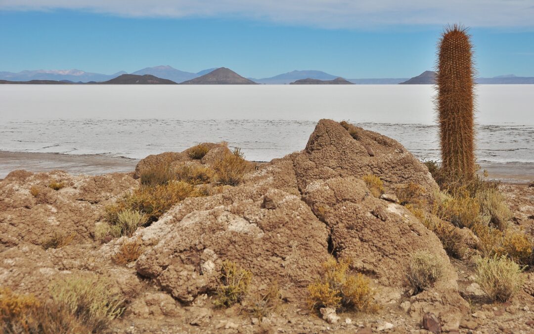 WHITE DESERTS AND COLORED LAGOONS 3 DAYS / 2 NIGHTS