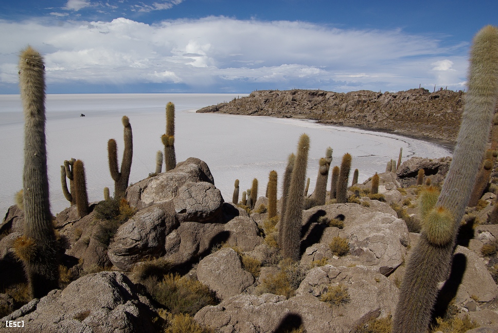 UYUNI SALT FLAT FULL DAY