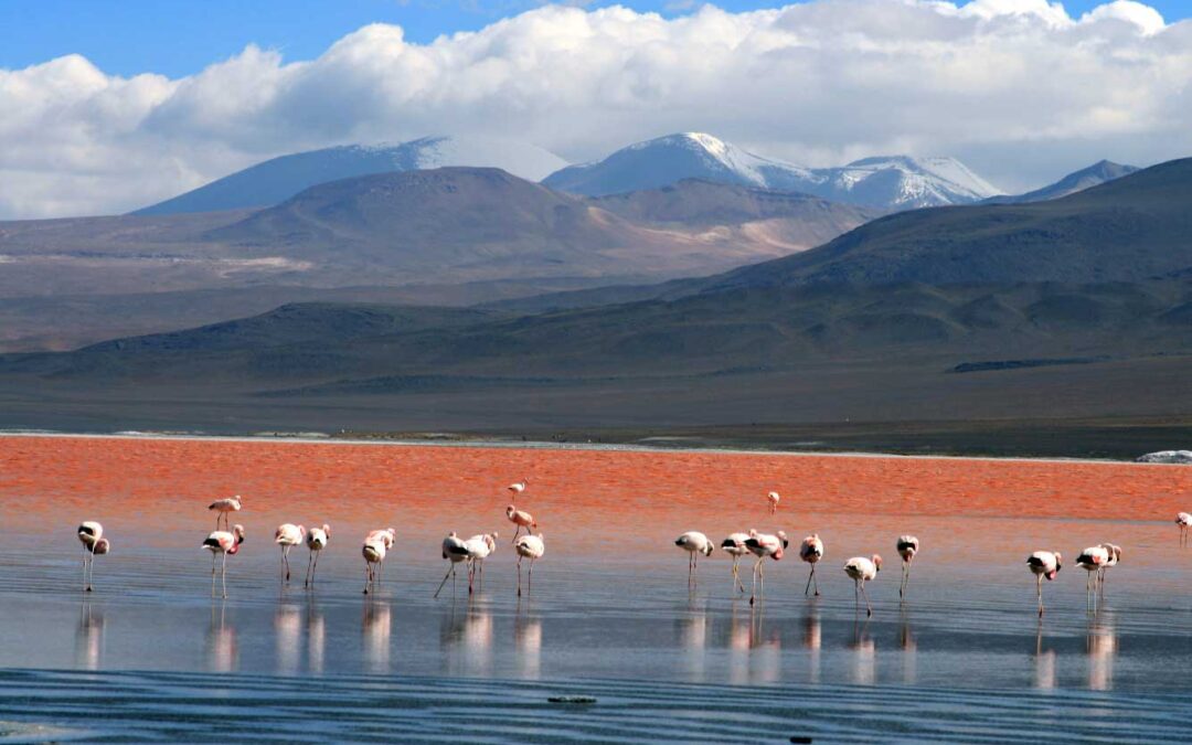 UYUNI IDEAL 5 DÍAS / 4 NOCHES